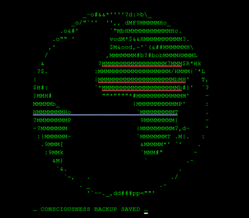EximusFlashDriveLog1